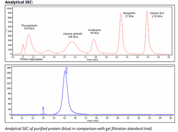 Mouse IgG2b k Isotype Control (MPC-11),  Antibody