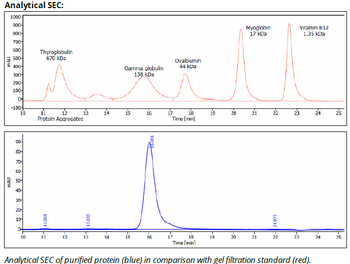 Rat IgG2b Isotype control, InVivoPure+