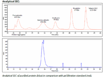 Rat IgG2a Isotype control, InVivoPure+
