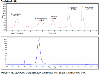 NK1.1 mAb (PK136),InVivoPure