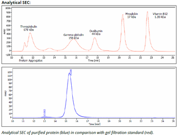 NK1.1 mAb (PK136),InVivoPure+