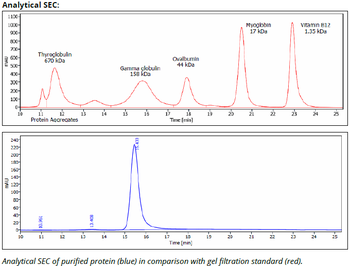 H-2 Kb/Db mAb (28-8-6S), InVivoPure