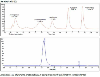 PD-1 mAb (RMP1-14), InVivoPure+