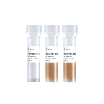 Vazyme - Mouse CD3+ T Cell Isolation Kit