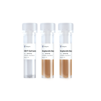 Vazyme - Mouse CD8+ T Cell Isolation Kit