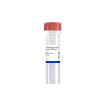 Vazyme - dsRNA-Pseudouridine-U (Standard)