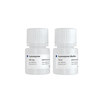 Vazyme - Lysozyme