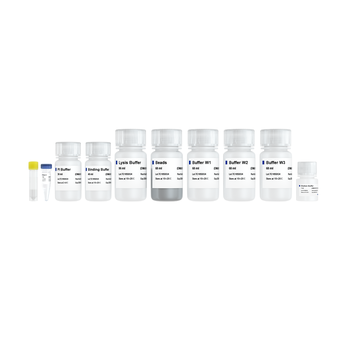 Vazyme - Lysis Buffer Pro