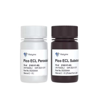 Vazyme - SuperPico ECL Chemiluminescence Kit