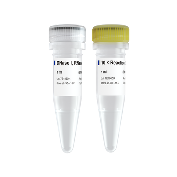 Vazyme - DNase I, RNase-free