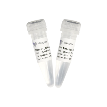 Vazyme - DNase I, RNase-free