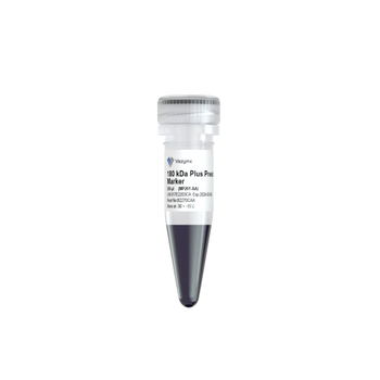 Vazyme - 180 kDa Plus Prestained Protein Marker