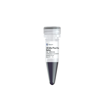 Vazyme - 250 kDa Plus Prestained Protein Marker
