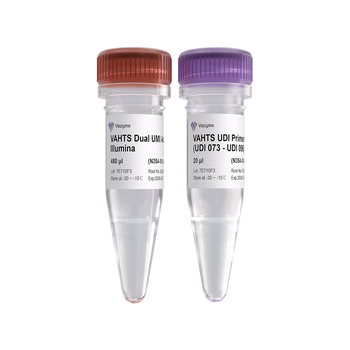 Vazyme - VAHTS Dual UMI UDI Adapters Set 2 for Illumina