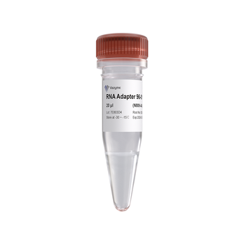 Vazyme - VAHTS RNA Adapters set 6 for Illumina