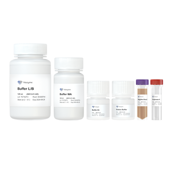 Vazyme - 24 Well Plate & Magnetic Bar Sleeves