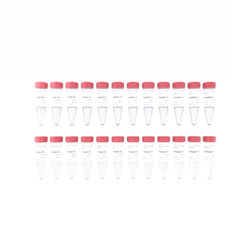 Vazyme - VAHTS PCR-Free DNA Adapters Set 1 for MGI