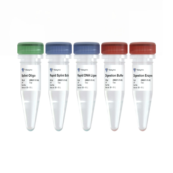 Vazyme - VAHTS Circularization Kit For MGI