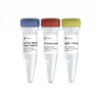 Vazyme - Bst II Pro DNA Polymerase Large Fragment