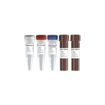 Vazyme - HiScript II One Step qRT-PCR SYBR Green Kit