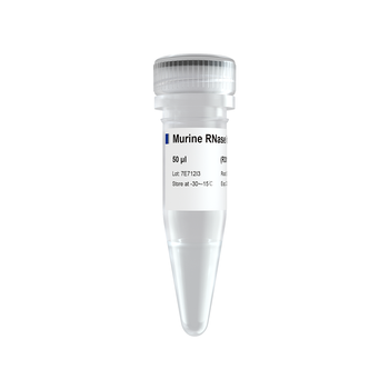 Vazyme - Murine RNase Inhibitor