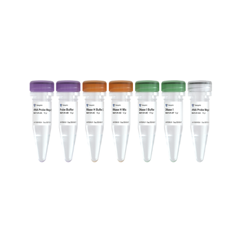 Vazyme - Ribo-clean rRNA Depletion Kit Mega (R/M)