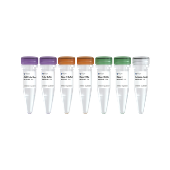 Vazyme - Ribo-clean rRNA Depletion Kit Mega (AA)
