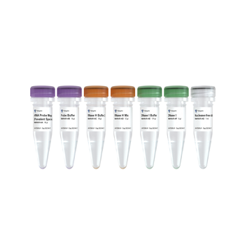 Vazyme - Ribo-clean rRNA Depletion Kit Mega (Prevalent Species)