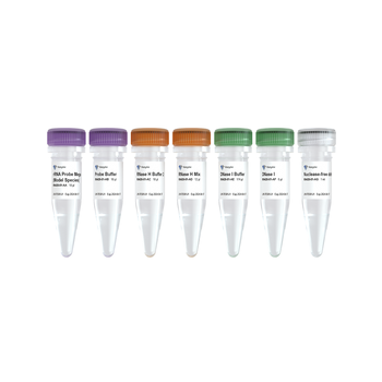 Vazyme - Ribo-clean rRNA Depletion Kit Mega (Model Species)