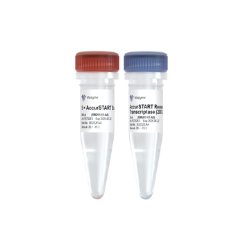 Vazyme - AccurSTART Reverse Transcriptase