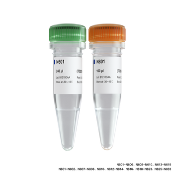 Vazyme - TruePrep Index Kit V3 for Illumina