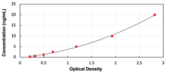 Human SQSTM1 ELISA Kit (Ready to Use)