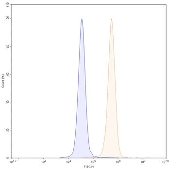 ZNF408 IP Mouse Monoclonal Antibody