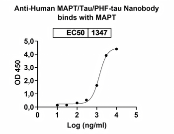 MAPT/Tau/PHF-tau Camelus Monoclonal Antibody