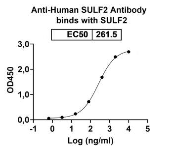 SULF2 Mouse Monoclonal Antibody