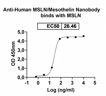 MSLN/Mesothelin Camelus Monoclonal Antibody