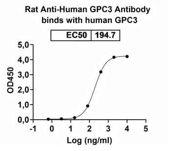 GPC3 Rat Monoclonal Antibody