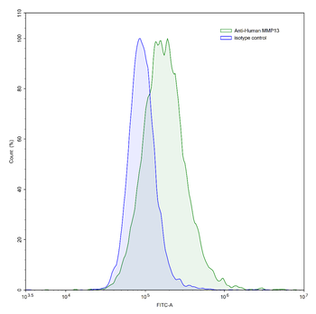 MMP13 Mouse Monoclonal Antibody