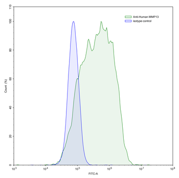 MMP13 Mouse Monoclonal Antibody