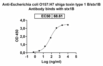 O157:H7 shiga toxin type 1 B/stx1B Mouse Monoclonal Antibody