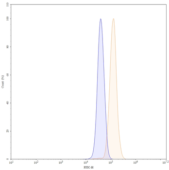 HRAS Mouse Monoclonal Antibody