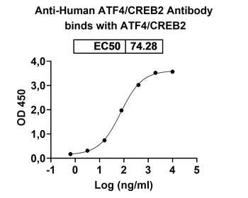 LRRK2/Dardarin Mouse Monoclonal Antibody