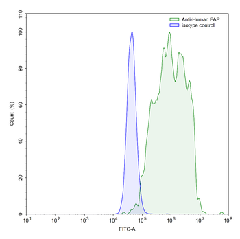 FAP/FAPalpha Human Monoclonal Antibody