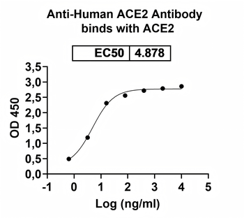 ACE2 Mouse Monoclonal Antibody
