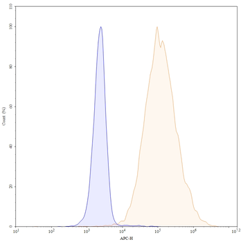 ACE2 Mouse Monoclonal Antibody