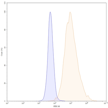 ACE2 Mouse Monoclonal Antibody