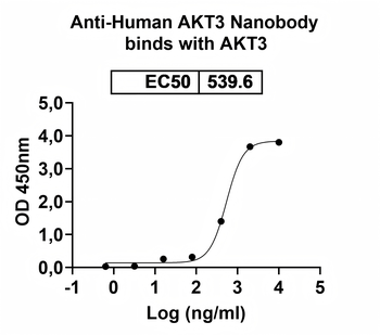 AKT3 Camelus Monoclonal Antibody