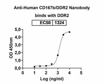 CD167b/DDR2 Camelus Monoclonal Antibody