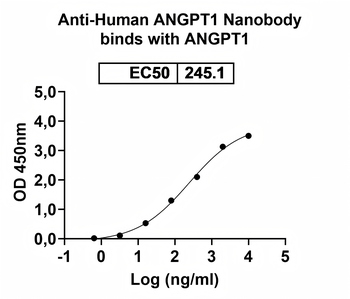 ANGPT1 Camelus Monoclonal Antibody