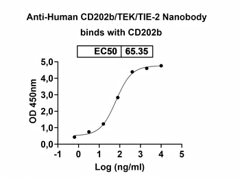 CD202b/TEK/TIE-2 Camelus Monoclonal Antibody